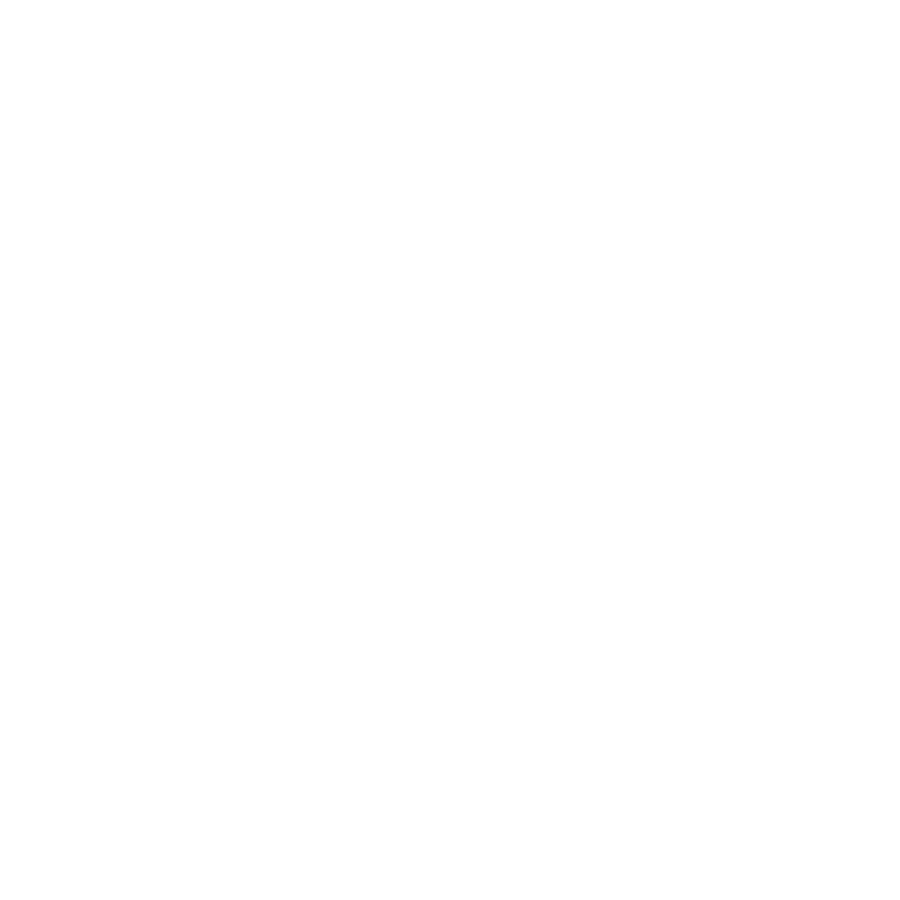 Ri logo